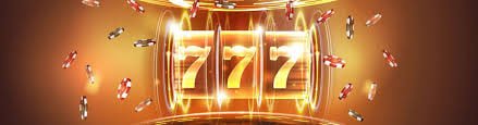 vn24